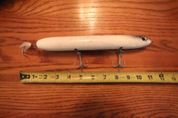 How Long is 9 Inches? Real-Life Comparisons & Visuals
