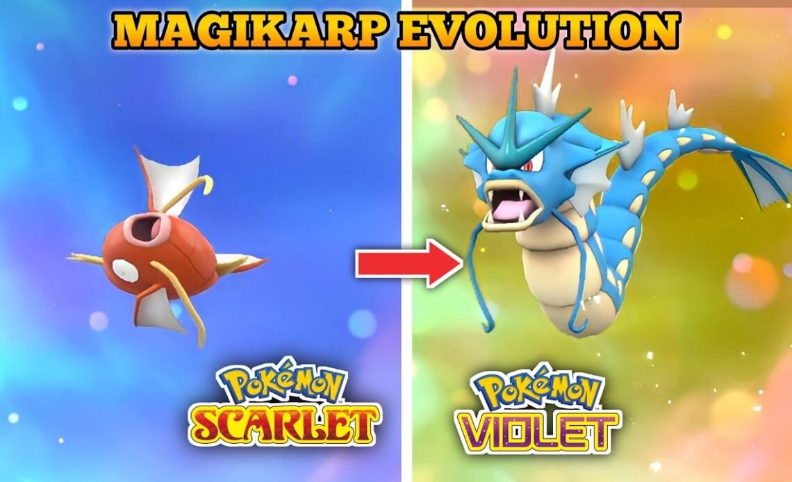 What Level Does Magikarp Evolve