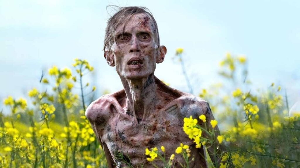 Best Films to Watch This June