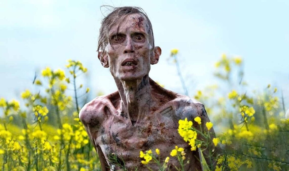 Best Films to Watch This June