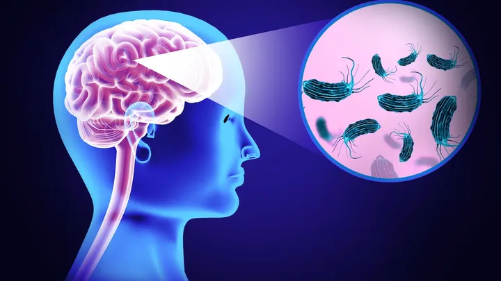 brain-eating amoeba