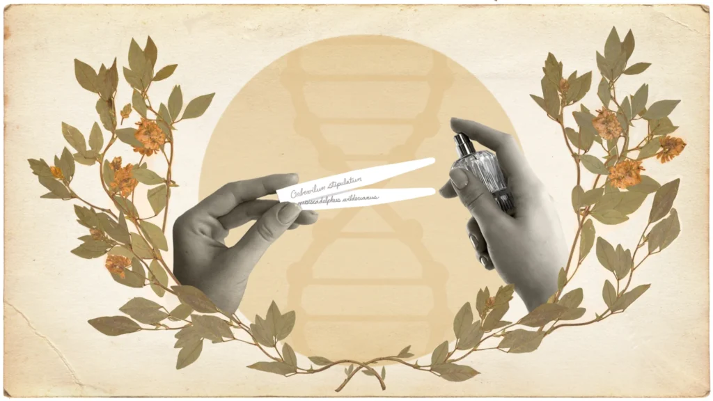 fragrance company recreates extinct flower scent