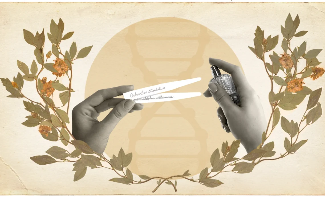 fragrance company recreates extinct flower scent